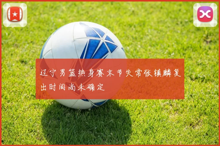 辽宁男篮热身赛末节失常张镇麟复出时间尚未确定
