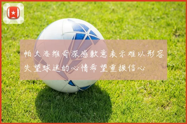 帕夫洛维奇深感歉意表示难以形容失望球迷的心情希望重振信心