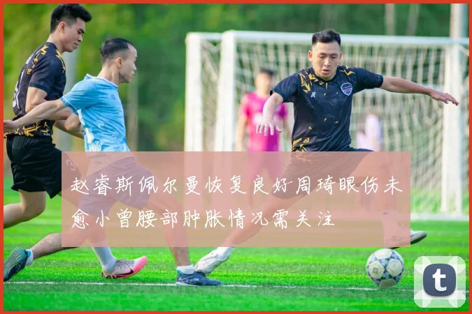 赵睿斯佩尔曼恢复良好周琦眼伤未愈小曾腰部肿胀情况需关注