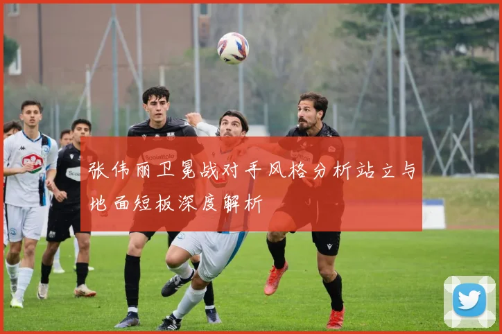 张伟丽卫冕战对手风格分析站立与地面短板深度解析